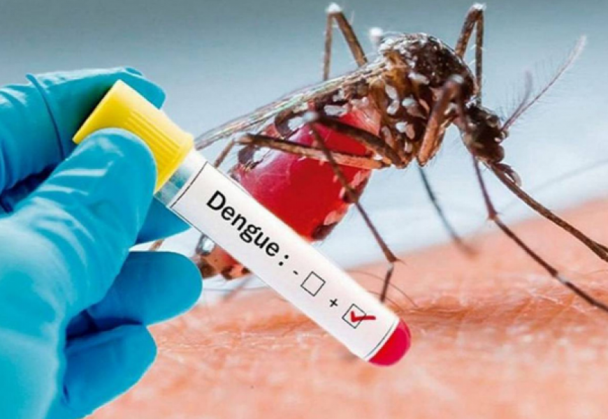 В Сингапуре от лихорадки денге скончались 28 человек